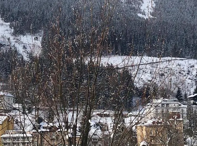 Appartement Penthousewohnung Gasteinblick